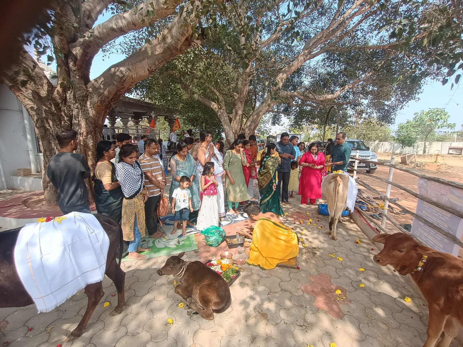 Special Gou Pooja picture 2